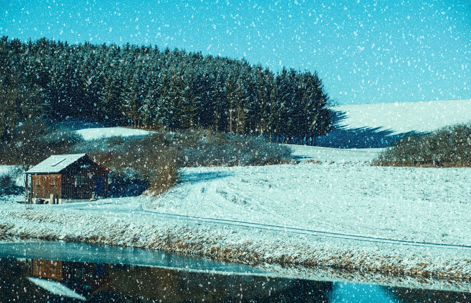 Fujifilm X-T2 sample photo. Winter, snow, cold photography