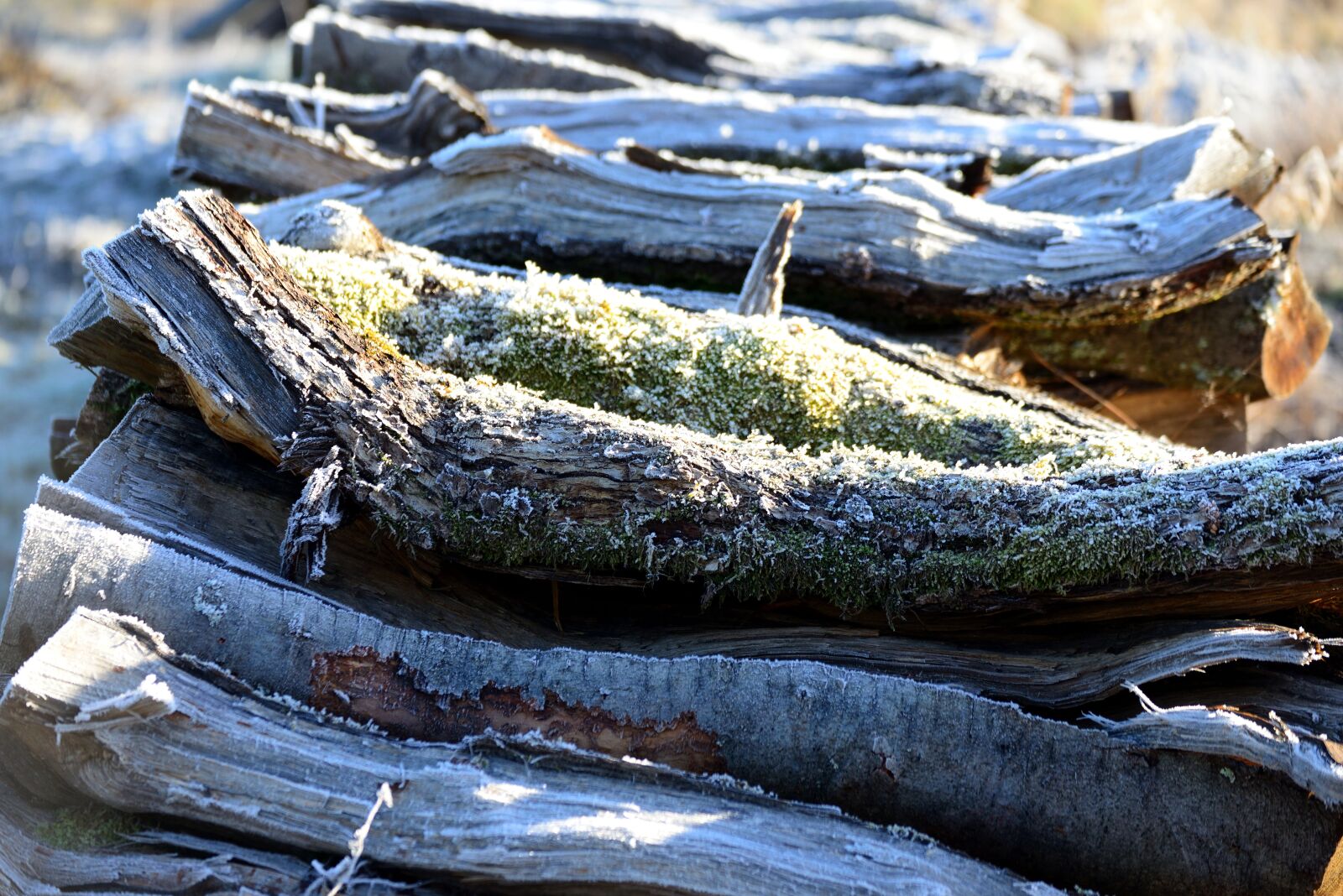 Nikon D610 sample photo. Wood, weathered, holzstapel photography