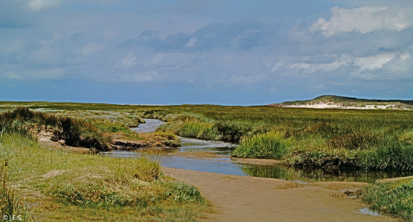 Nikon D60 sample photo. Slufter, texel, netherlands photography