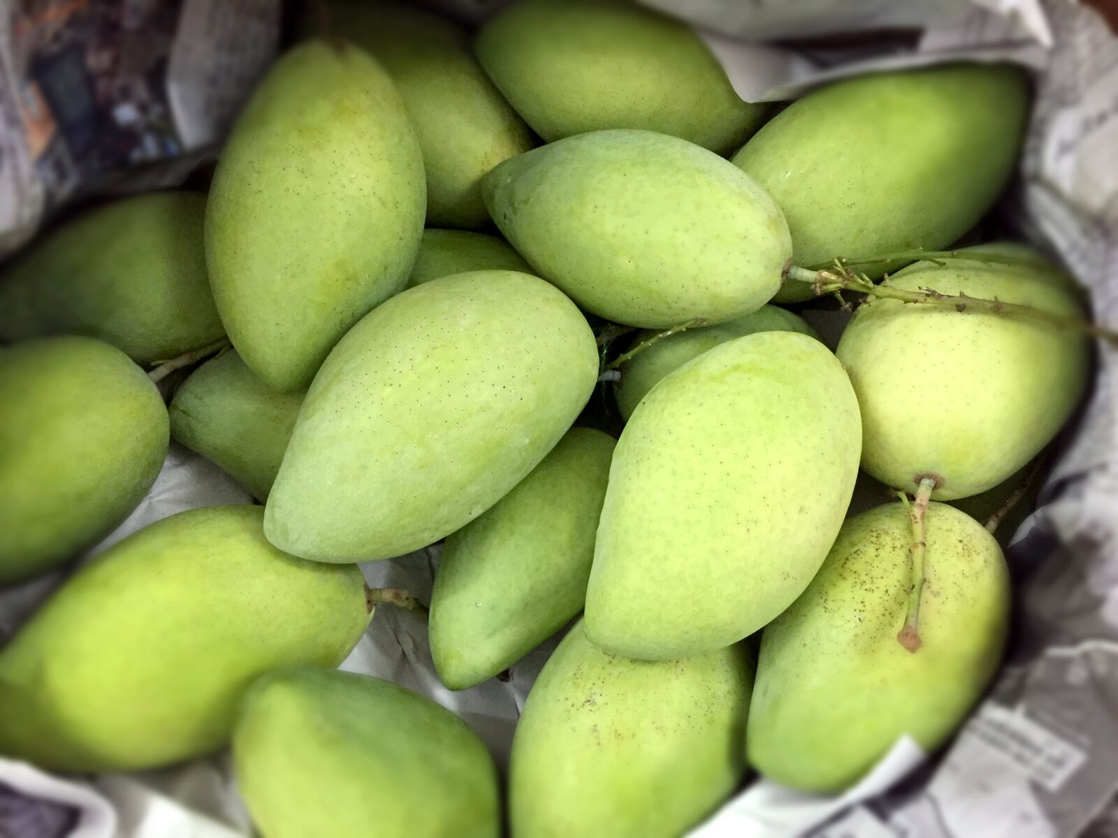 iPhone 6 back camera 4.15mm f/2.2 sample photo. Mango, green mango, fruit photography