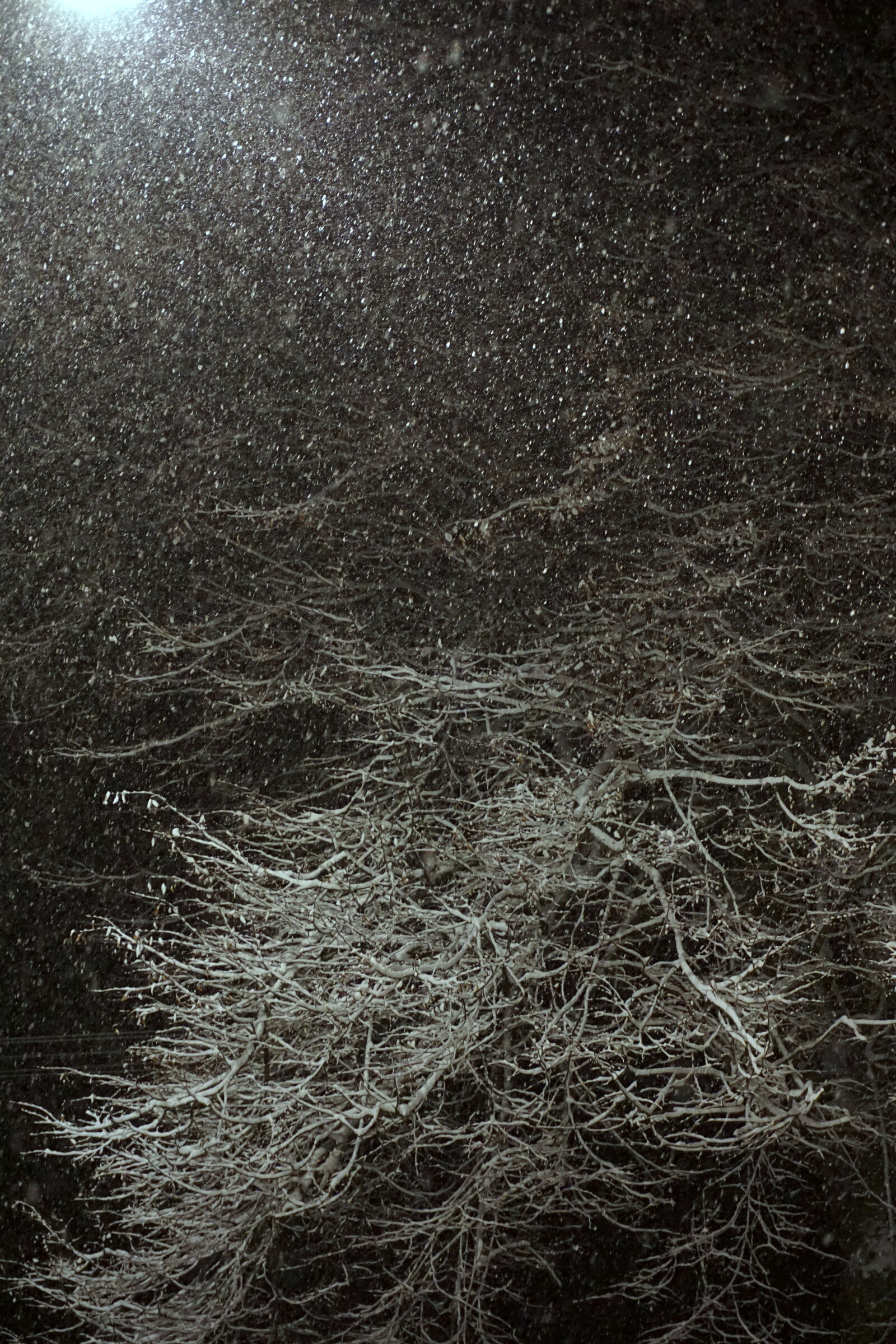 Sony E 16-50mm F3.5-5.6 PZ OSS sample photo. Blizzard, light, nature, night photography