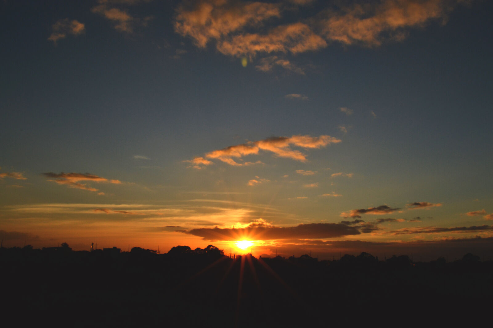 Nikon D3100 sample photo