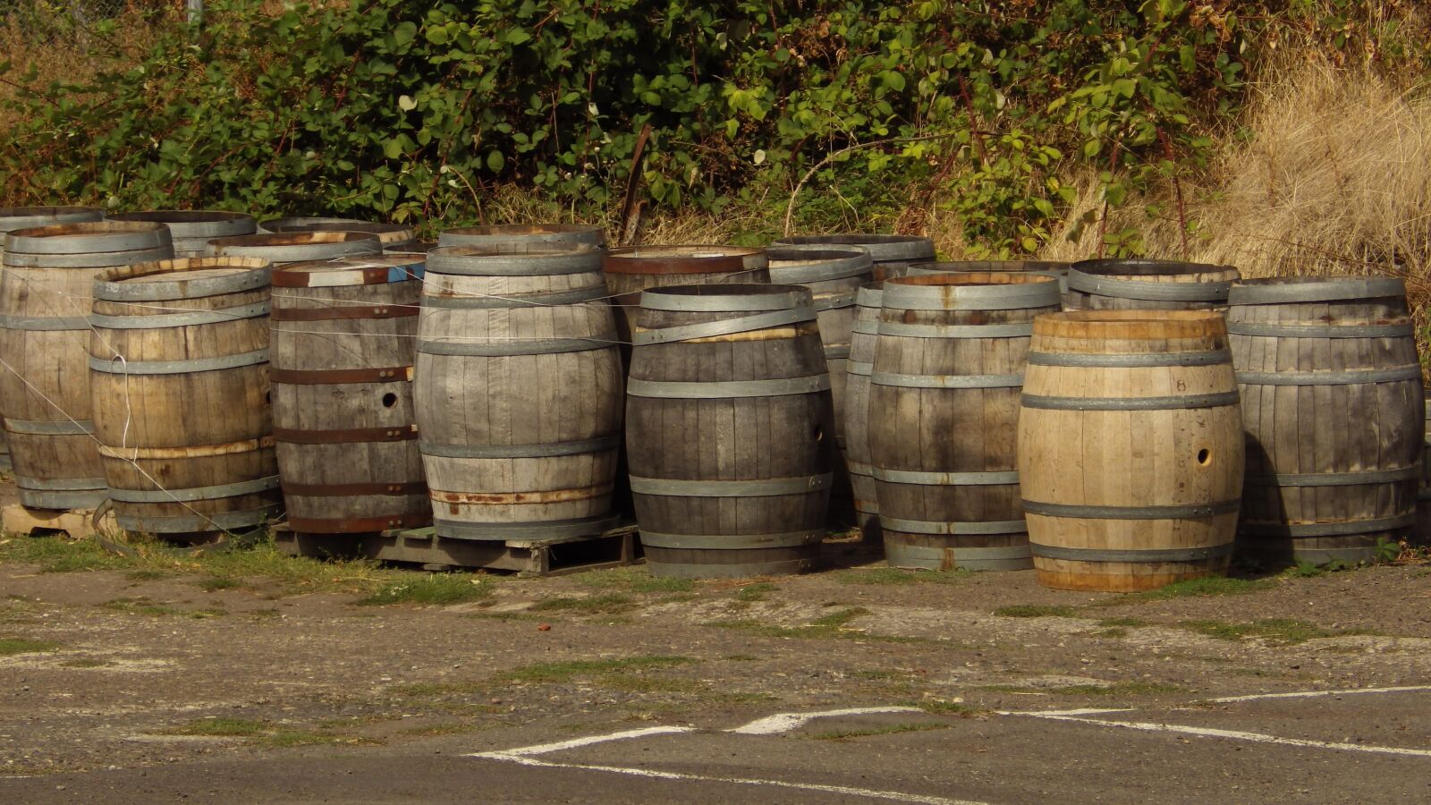 Pentax X-5 sample photo. Wine, barrels, wooden photography