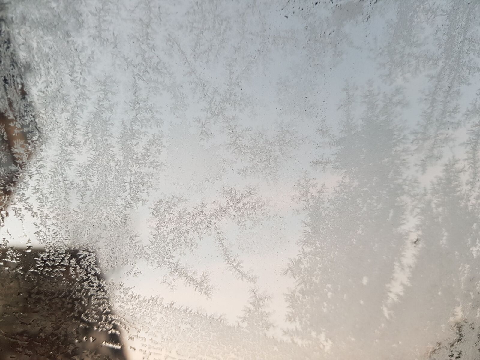 Samsung Galaxy S8 sample photo. Winter, snow, ice photography