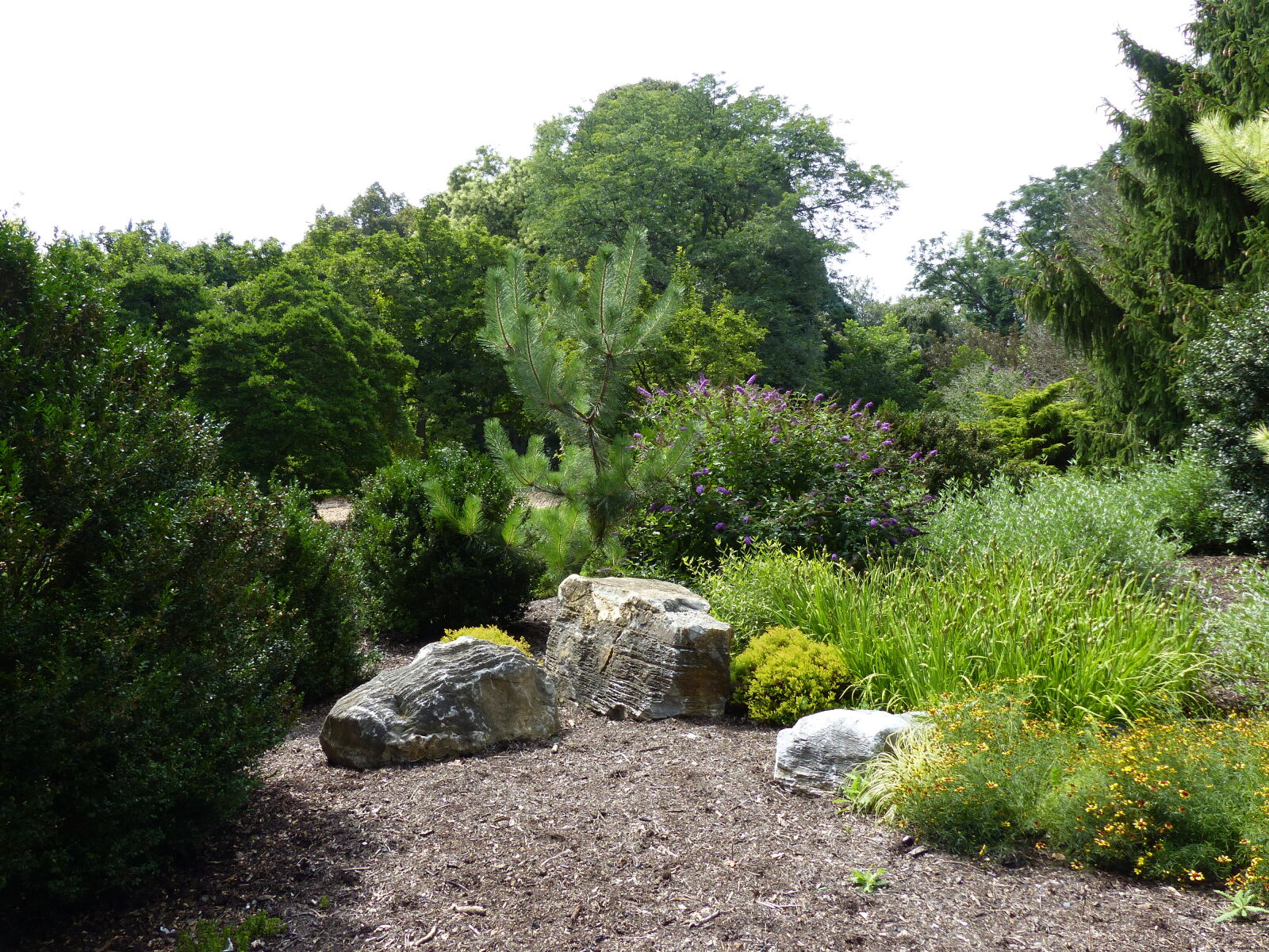Panasonic Lumix DMC-FZ200 sample photo. Evergreen, landscape, nature, rocks photography