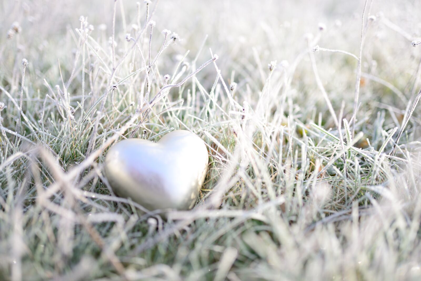 Nikon D610 sample photo. Hoarfrost, heart, frozen photography