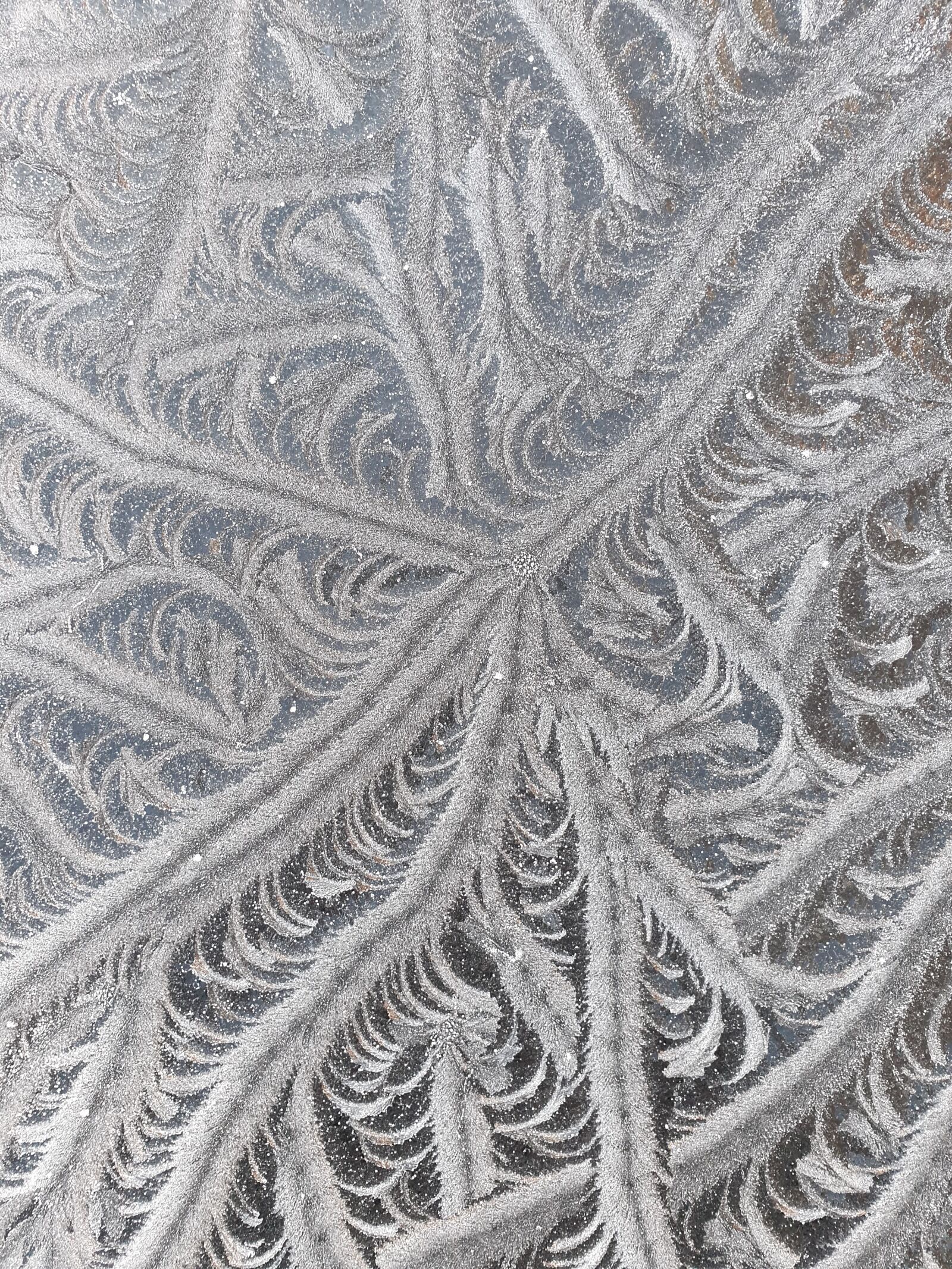 Samsung Galaxy S9 sample photo. Frost, ice, natures patterns photography