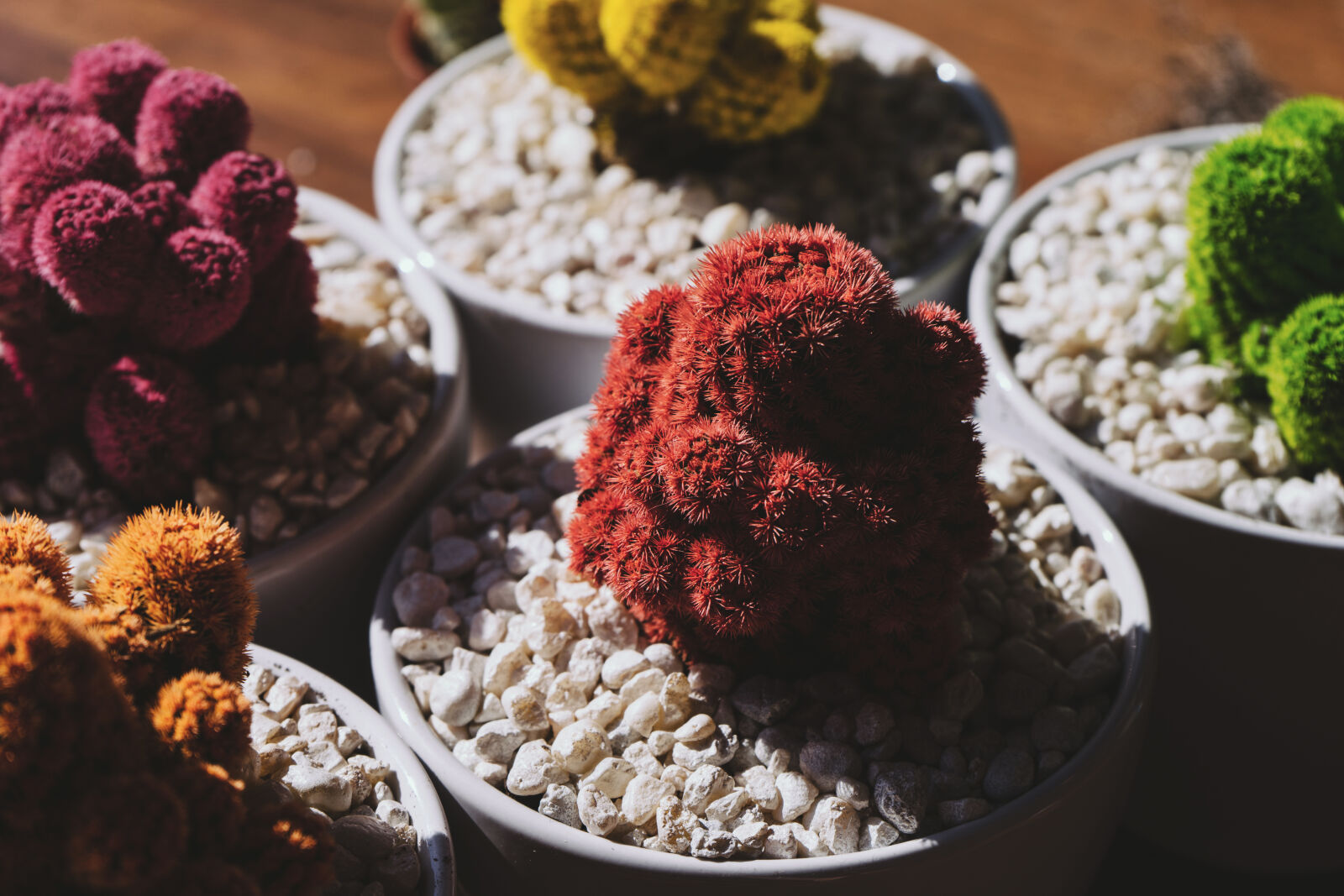 Sony a7 II + Sony FE 28-70mm F3.5-5.6 OSS sample photo. Rocks, colorful, colourful, plants photography