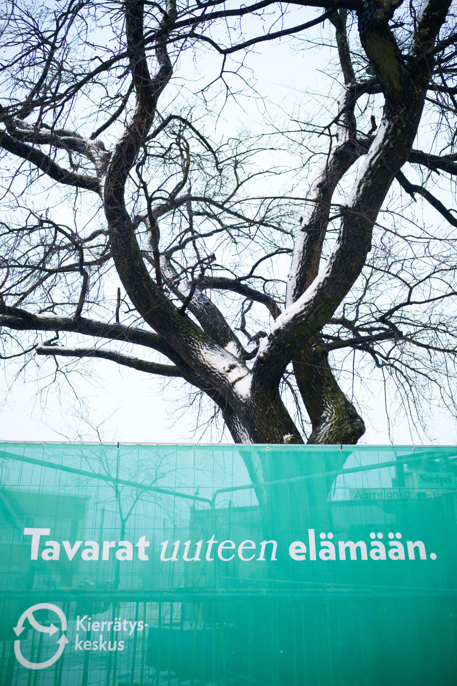 Samyang Remaster Slim 28mm F3.5 sample photo. Tree recycling photography