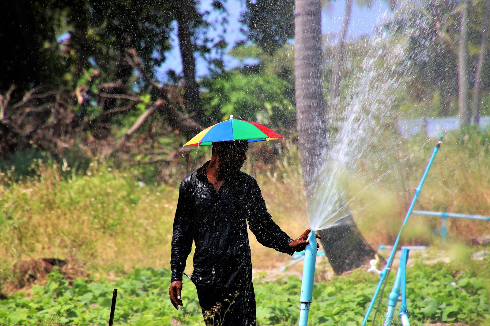 Canon EOS 80D sample photo. Wet, palm trees, water photography
