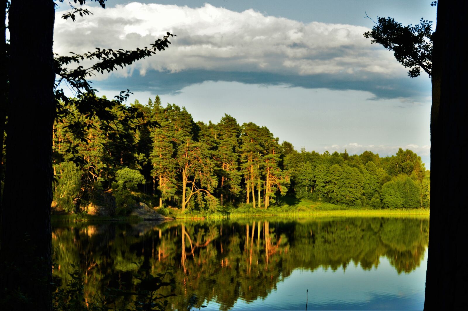 Nikon D3200 sample photo. Blue, clouds, forest, green photography