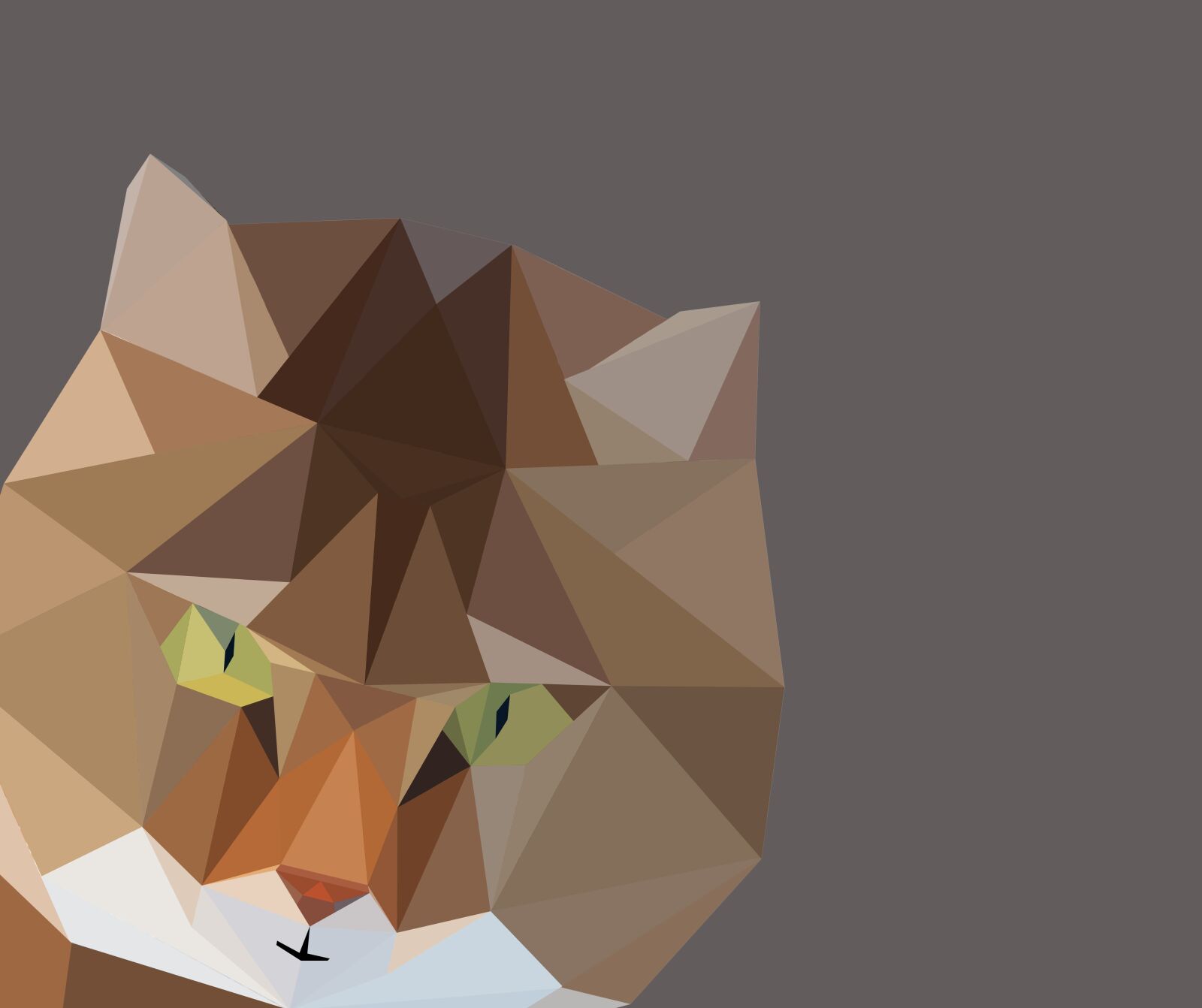 Nikon D5200 sample photo. Cat, lowpoly, low poly photography