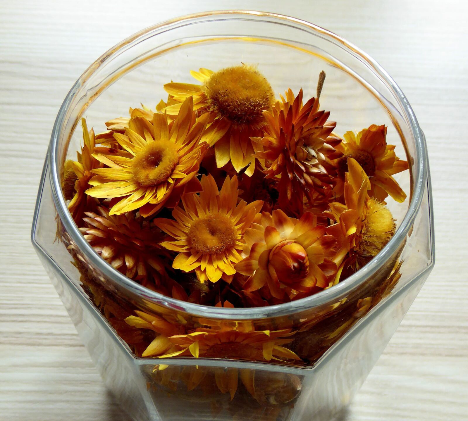 Panasonic DMC-TZ61 sample photo. Glass, dried flowers, colorful photography