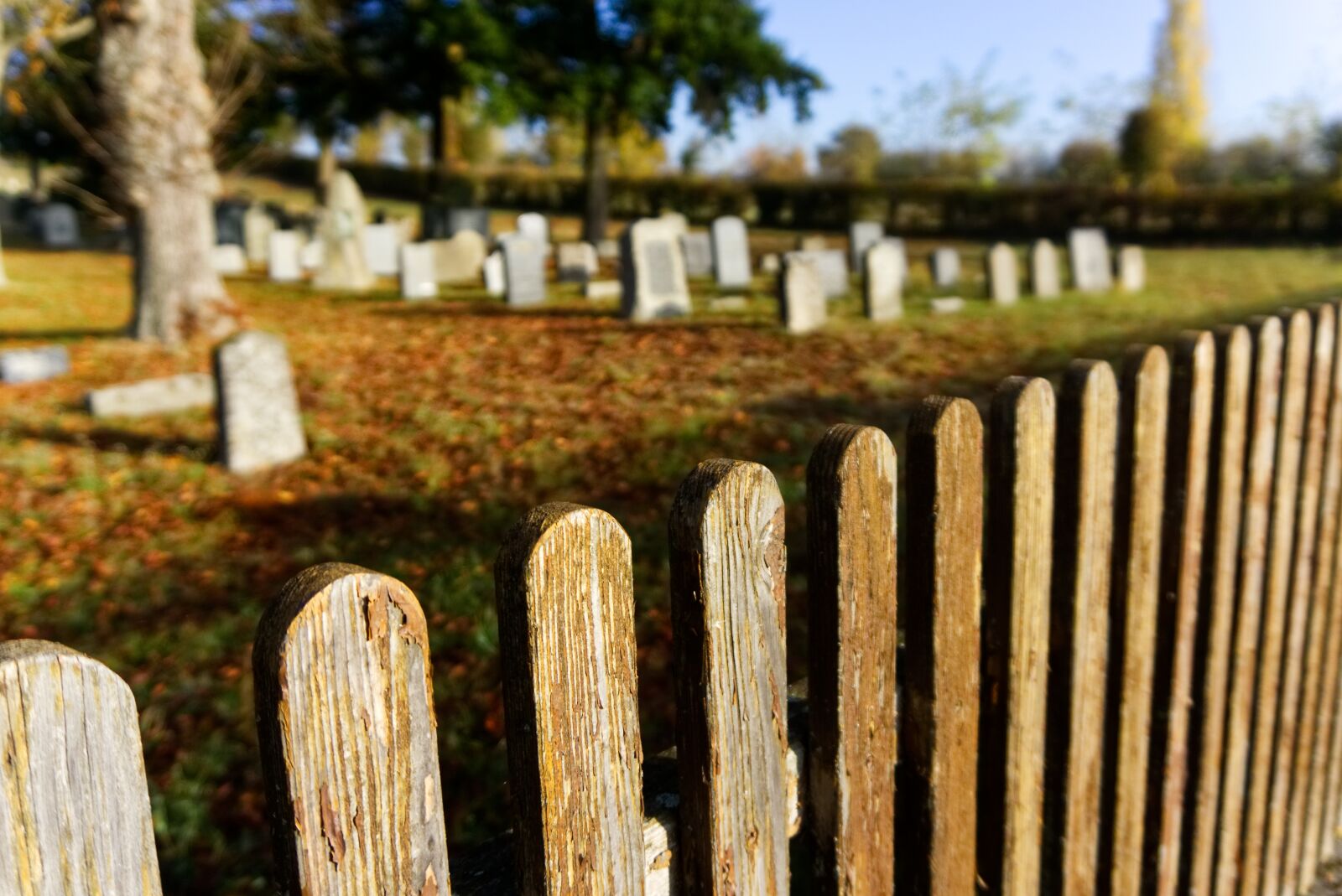 Sony a6000 sample photo. Cemetery, grave, tombstone photography