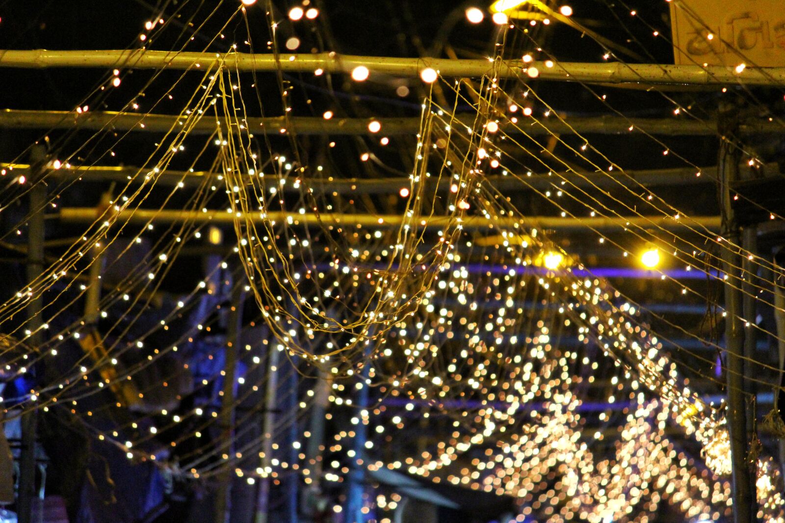 Canon EOS 700D (EOS Rebel T5i / EOS Kiss X7i) sample photo