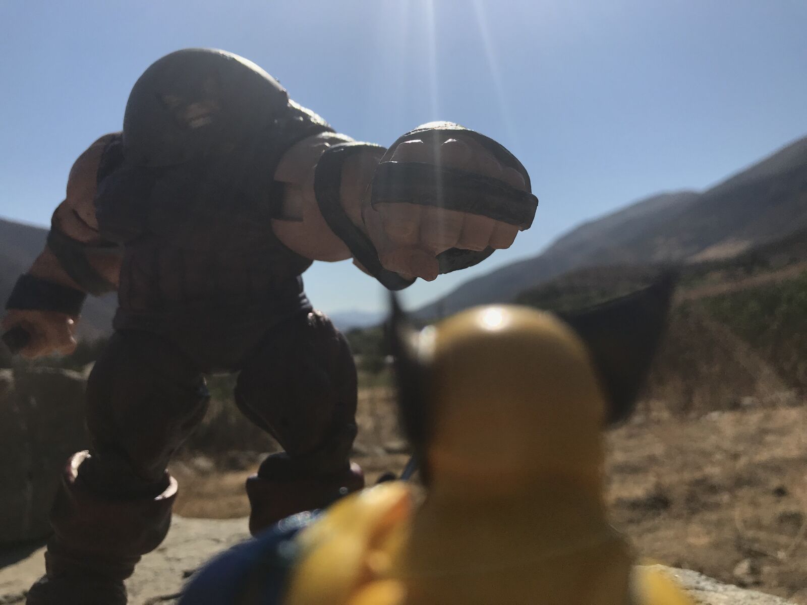 iPhone 7 back camera 3.99mm f/1.8 sample photo. Toy, x-men photography