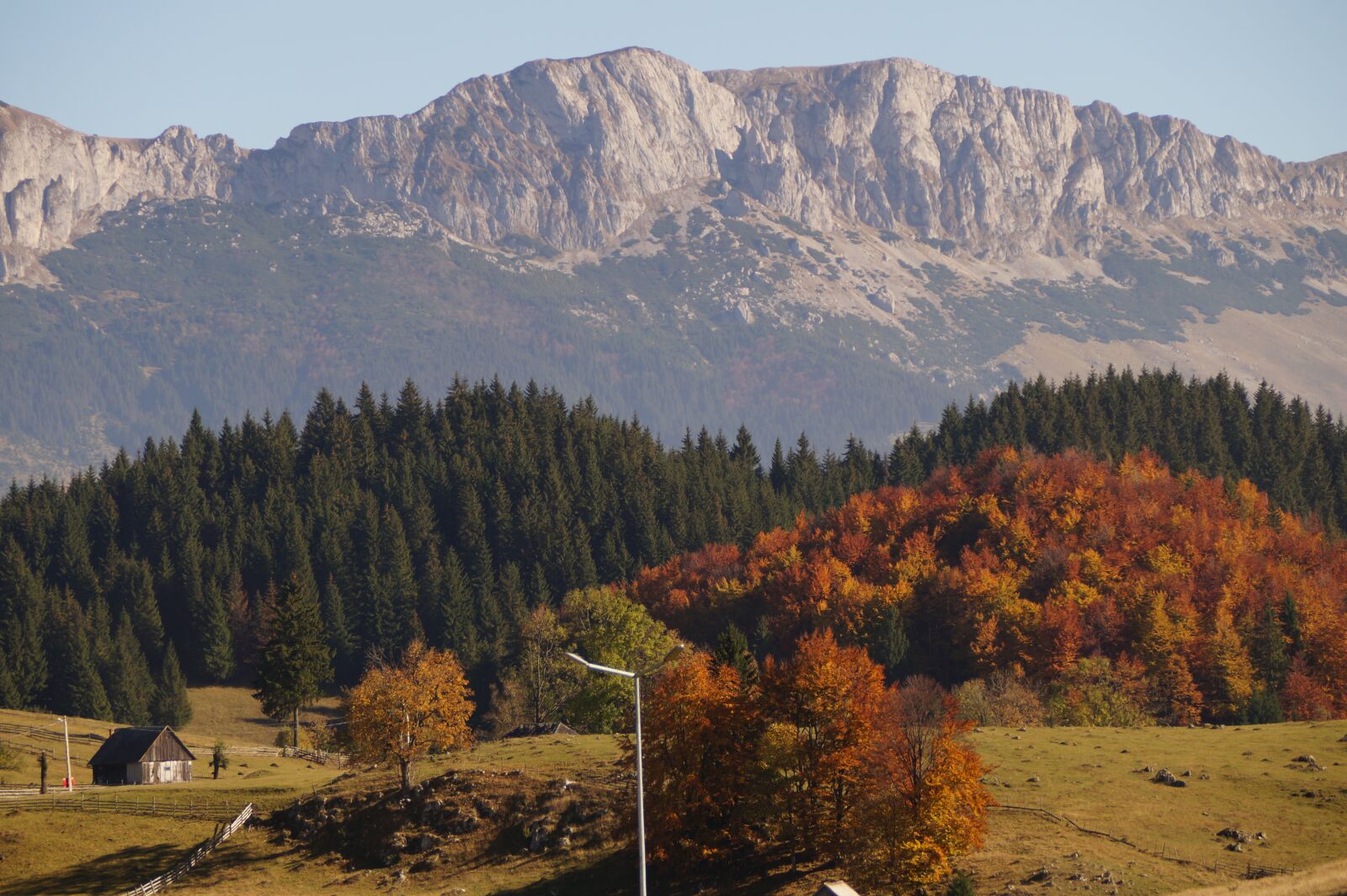 Sony DT 18-200mm F3.5-6.3 sample photo. Logs, romania, autumn photography