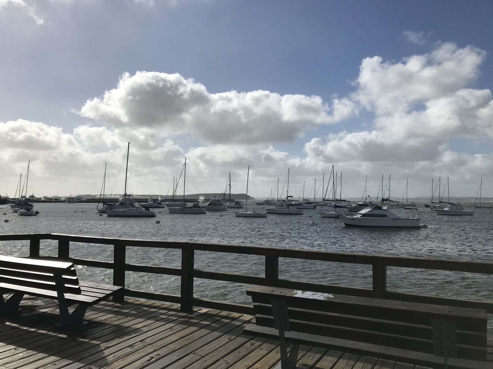 iPhone 7 back camera 3.99mm f/1.8 sample photo. Mar, beach, marina photography