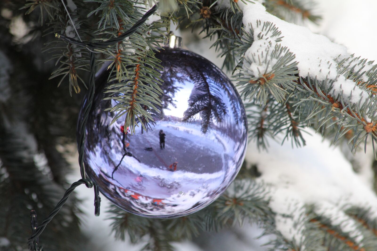 Canon EOS 550D (EOS Rebel T2i / EOS Kiss X4) sample photo. Year, new, holiday photography