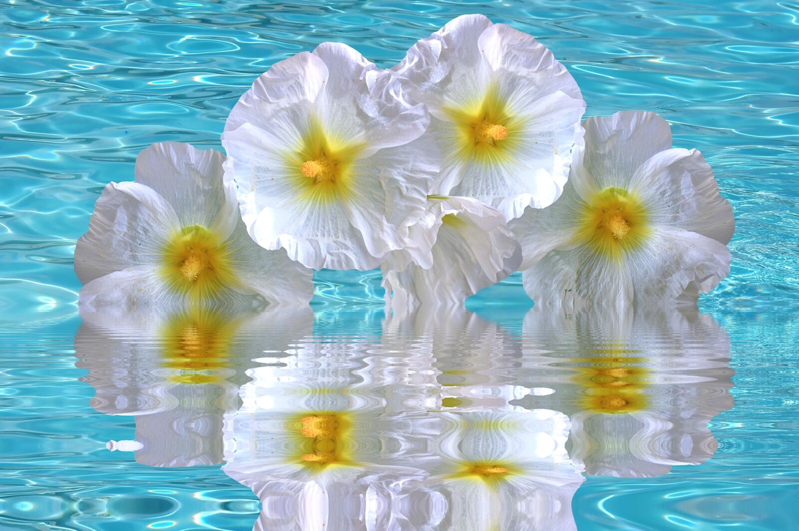 Nikon D90 sample photo. Hibiscus, vacations, summer photography