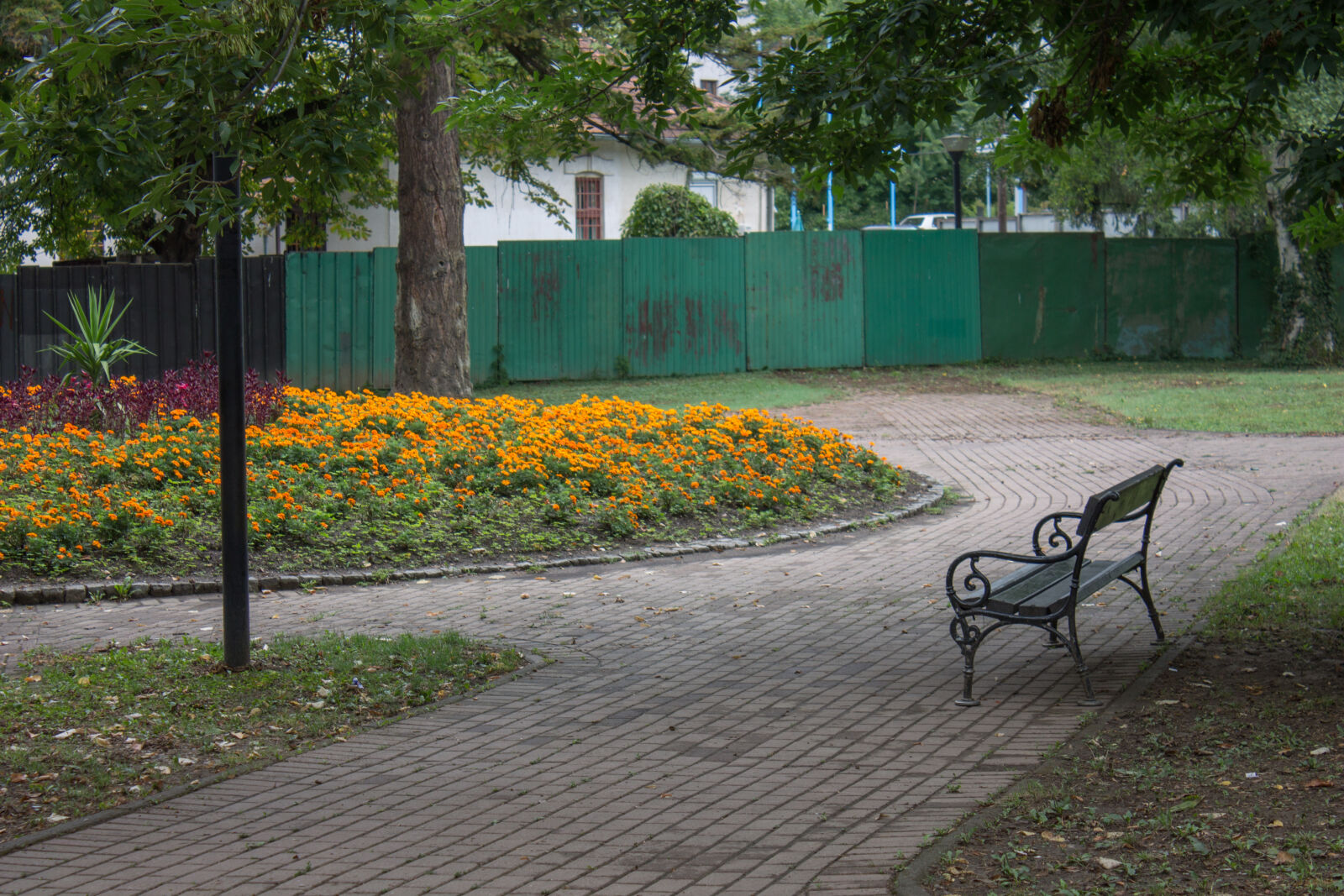Canon EOS 1100D (EOS Rebel T3 / EOS Kiss X50) sample photo. Bench, flowers, nature, park photography