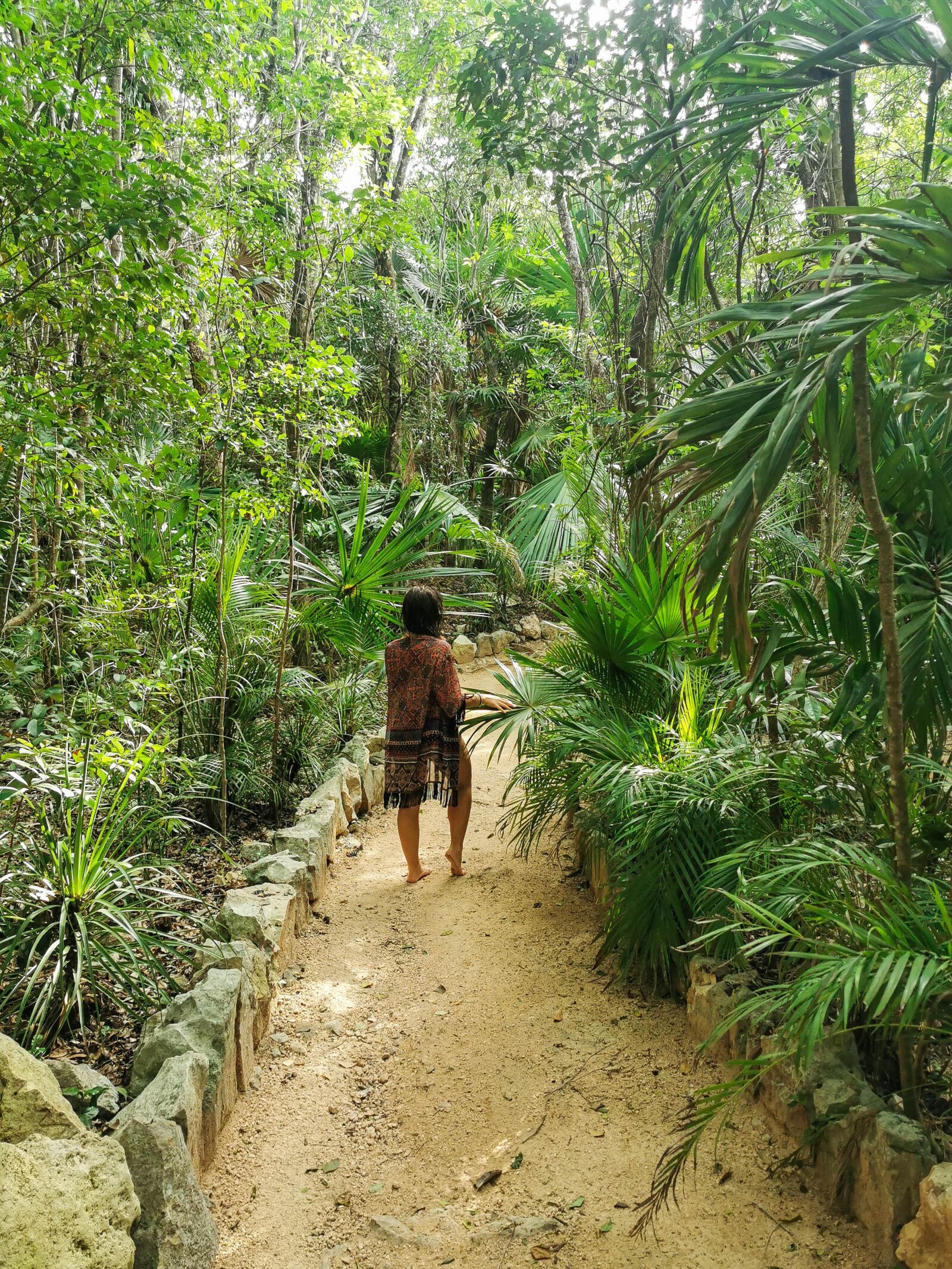 HUAWEI P30 Pro sample photo. Mexico, tropic, jungle photography