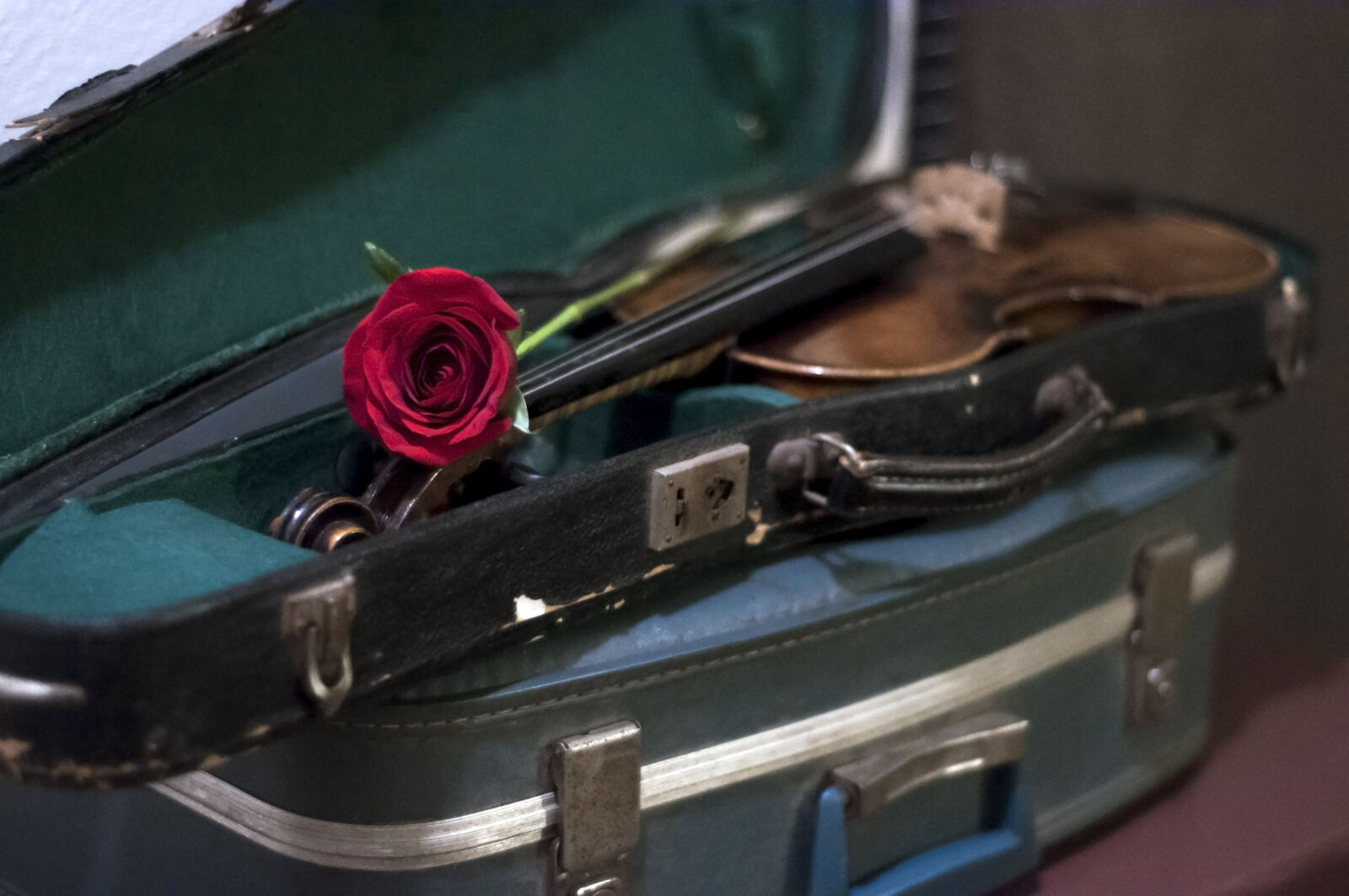 Nikon D90 sample photo. Rose, suitcase, vintage, violin photography