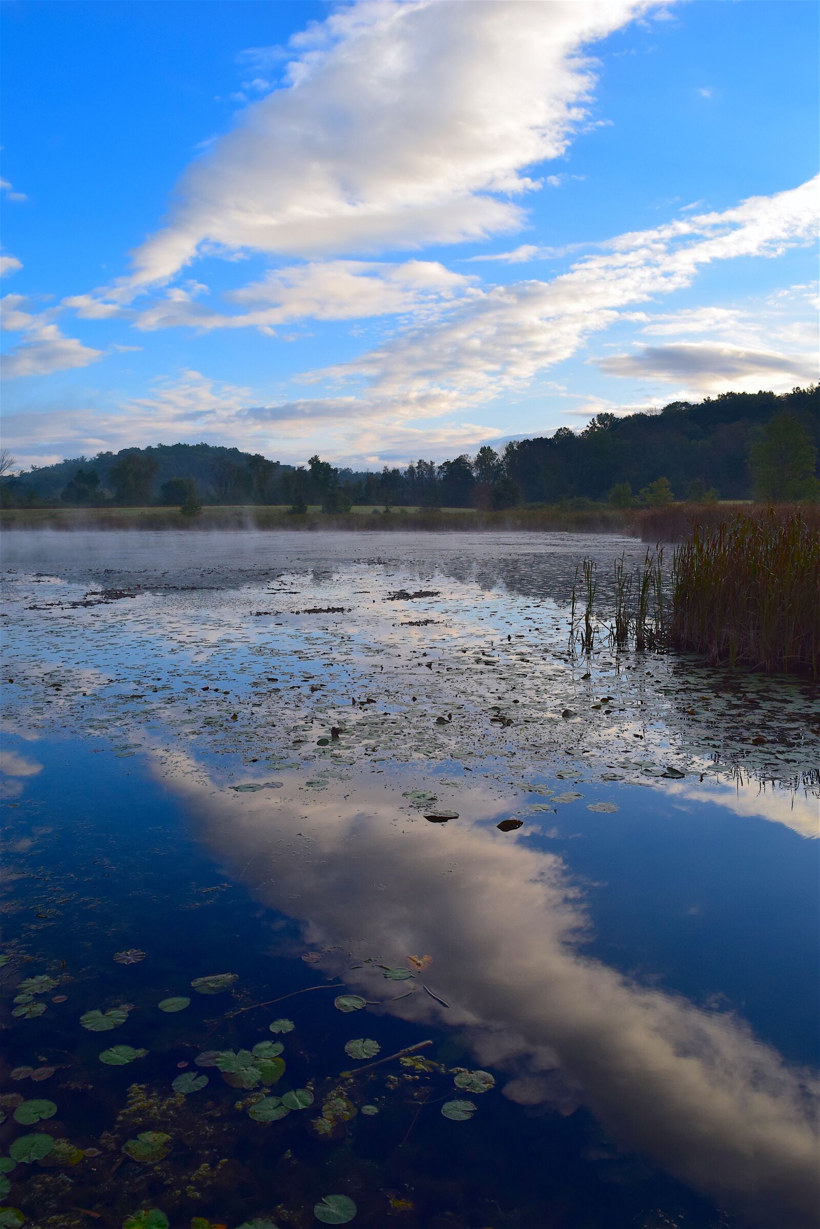 Nikon D3300 sample photo. Lake, water, reflection photography