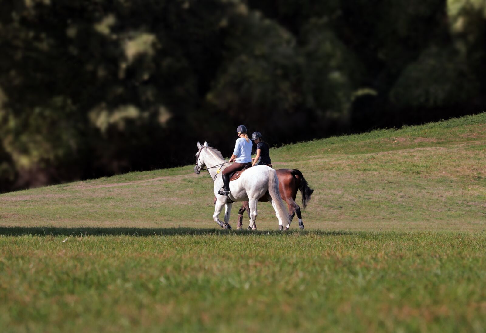 Canon EF-S 55-250mm F4-5.6 IS STM sample photo. Ride, riding, reiter photography