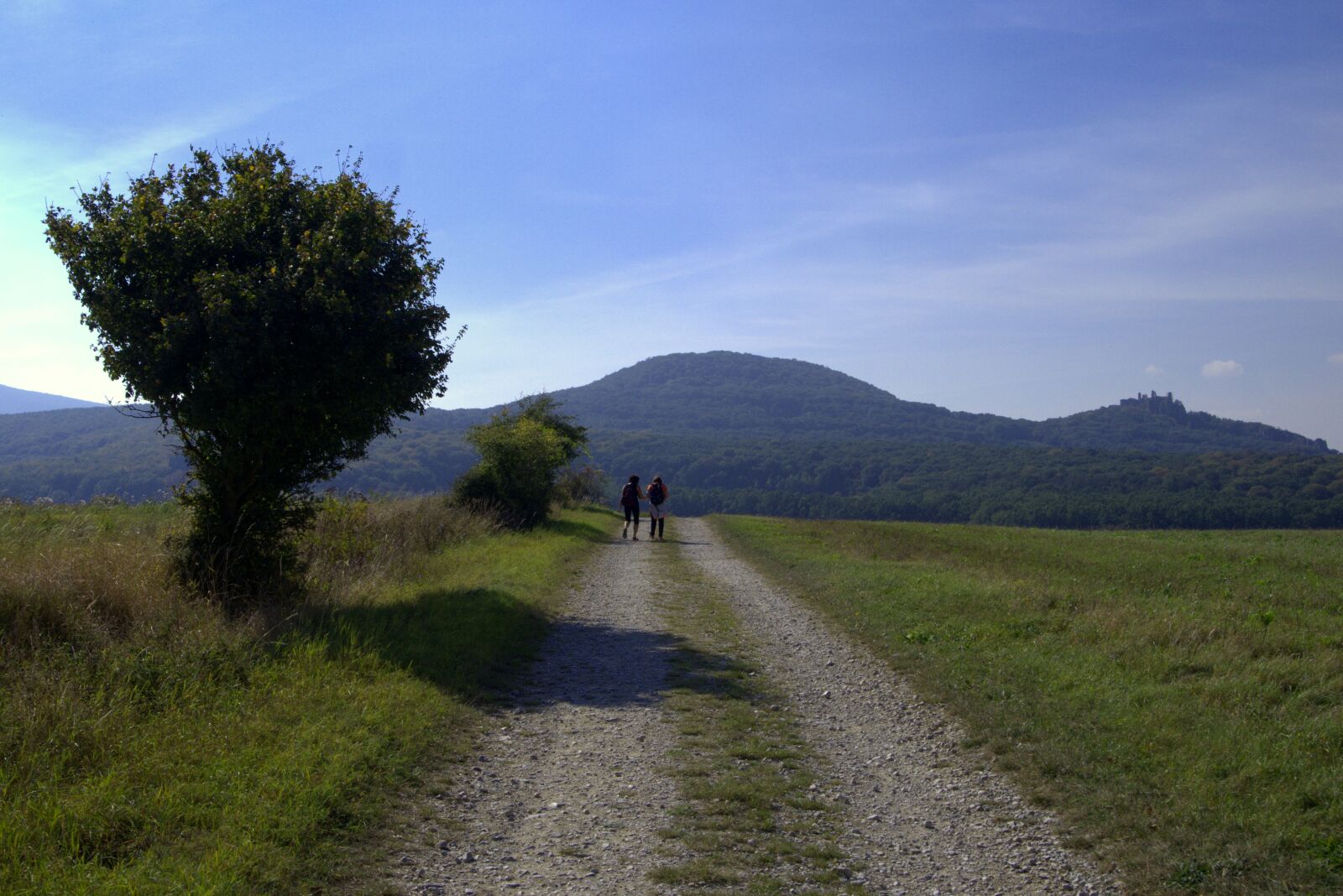 Panasonic Lumix DMC-G6 sample photo. Slovakia, plavecký castle, path photography