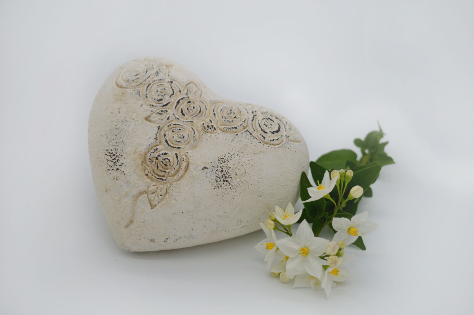 Nikon D3200 sample photo. Heart, jasmin, mother's day photography