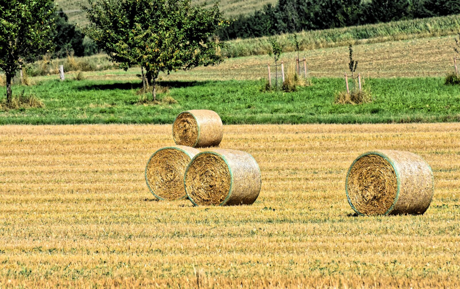 Nikon D7200 sample photo. Hay bales, landscape, farm photography