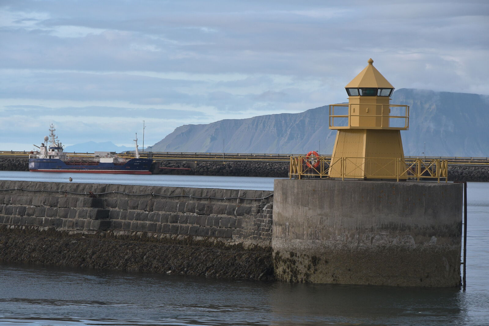 Nikon D500 sample photo