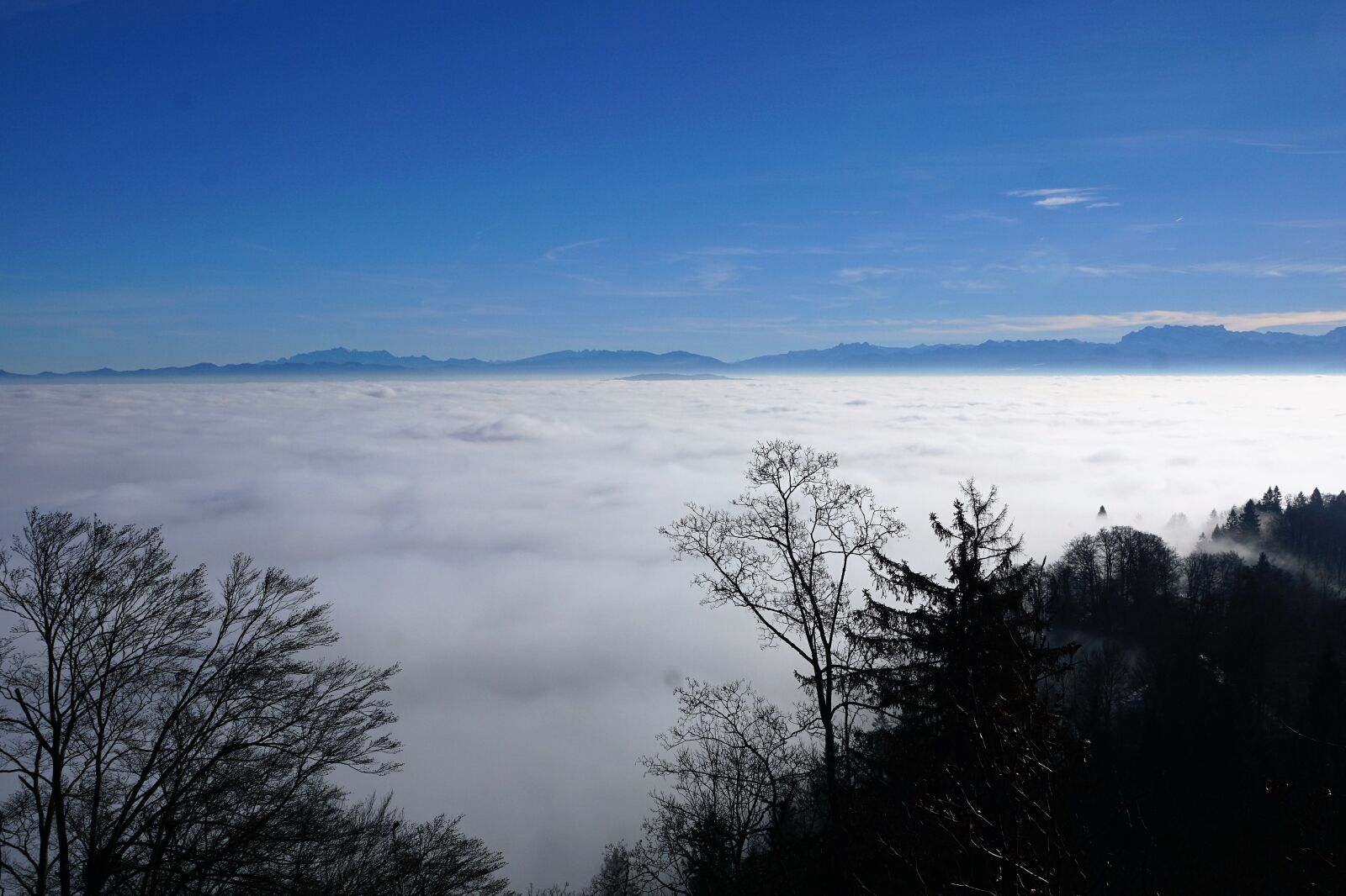 Sony ILCA-77M2 + Sony DT 16-50mm F2.8 SSM sample photo. Switzerland, mountains, nature photography