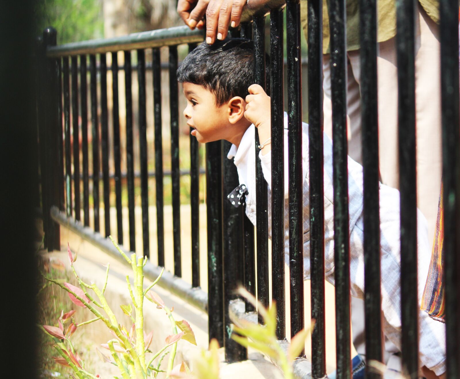 Canon EF-S 55-250mm F4-5.6 IS II sample photo. Kid, boy, curious photography