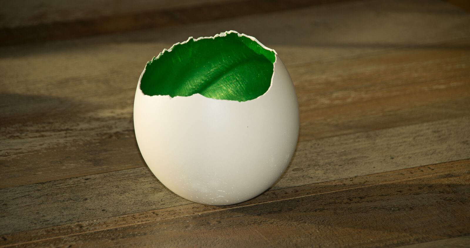 Sony SLT-A57 sample photo. Diy, shell, eggshell photography