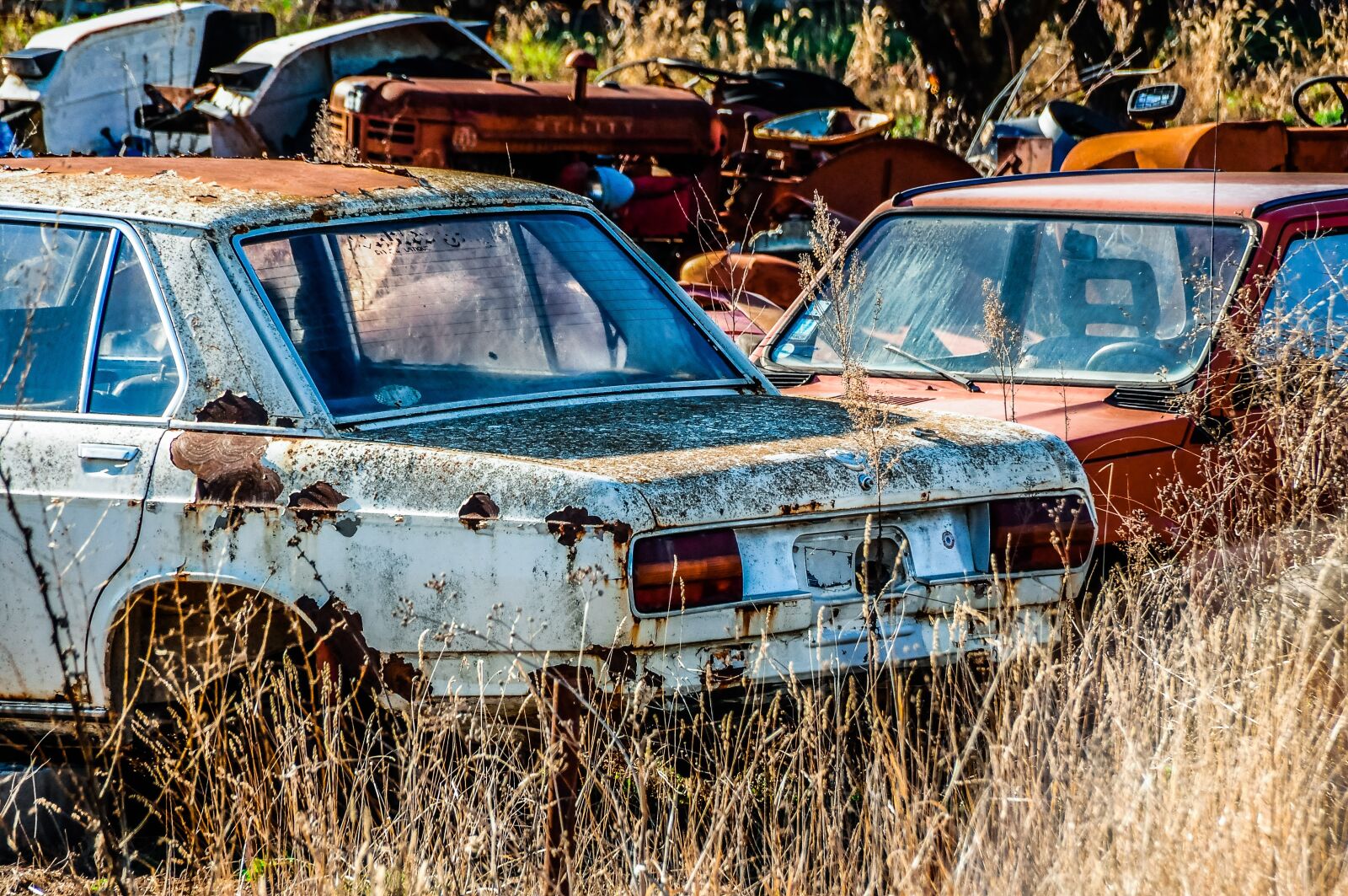 Nikon D300S sample photo. Automobile, abandoned, rusty photography