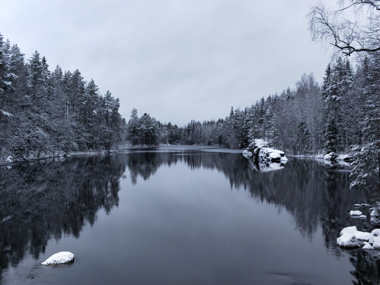 OnePlus 5 sample photo. Tree, snow, lake photography