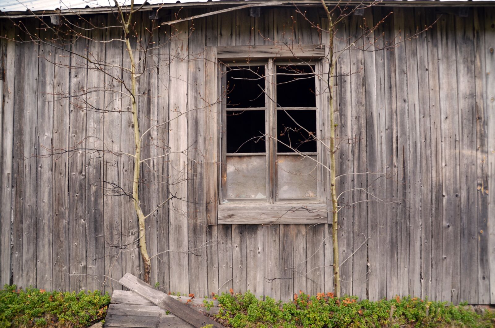 Nikon D5100 sample photo. House, barn, window photography