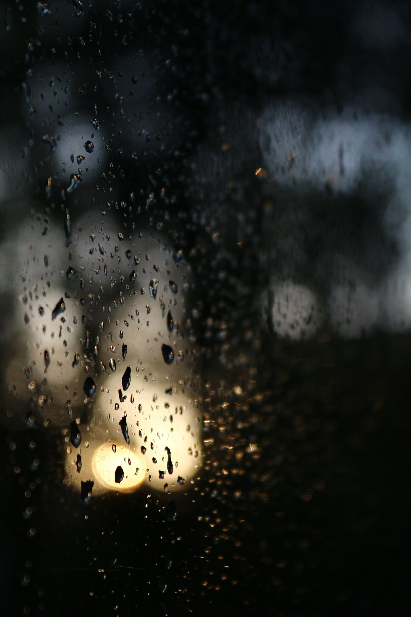 Canon EOS 650D (EOS Rebel T4i / EOS Kiss X6i) sample photo. Rain, glass, within photography