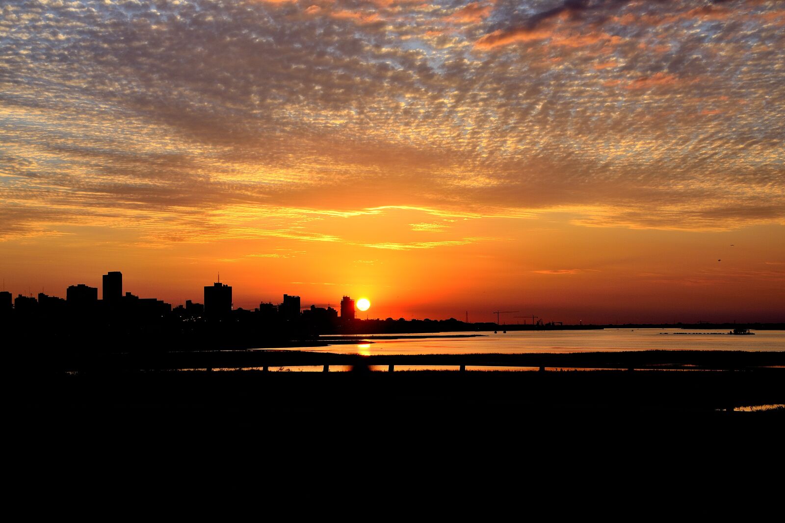 Nikon D7100 sample photo. Glow, red color, cbd photography