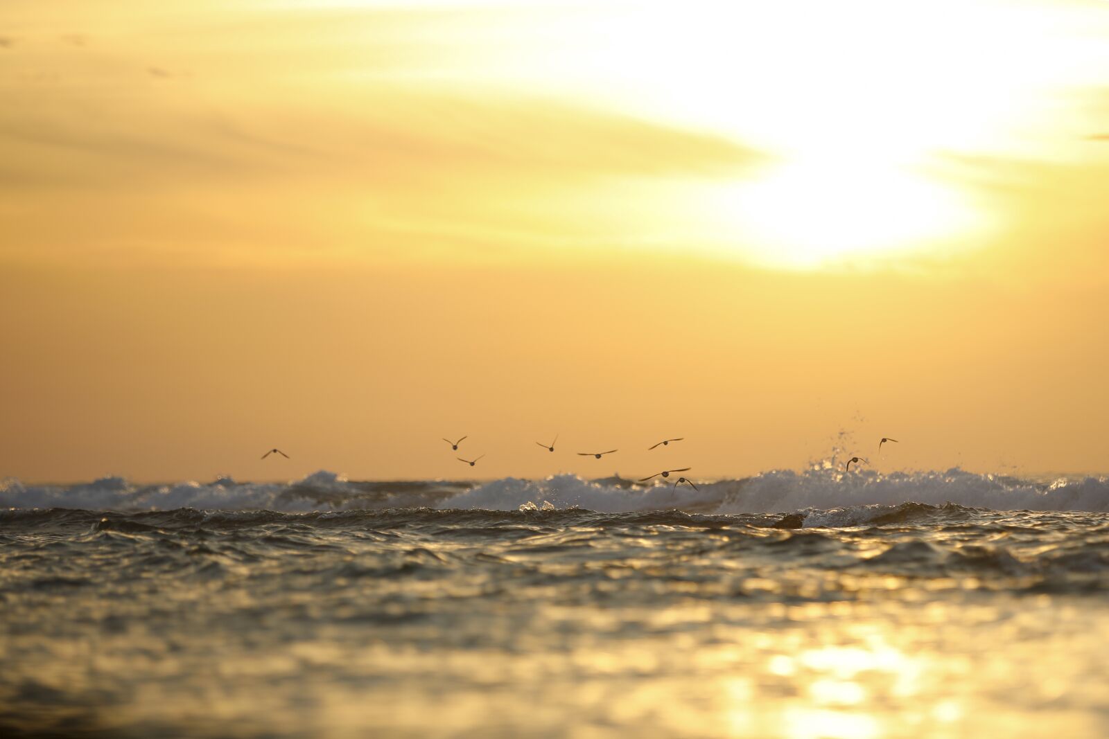 Canon EOS 5D Mark IV sample photo. Sea, sunset, ocean photography