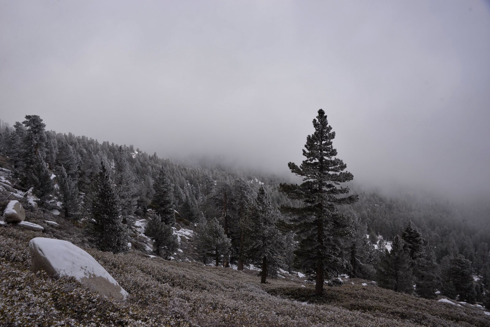 Nikon D610 sample photo. Backpacking, california, cold, hiking photography