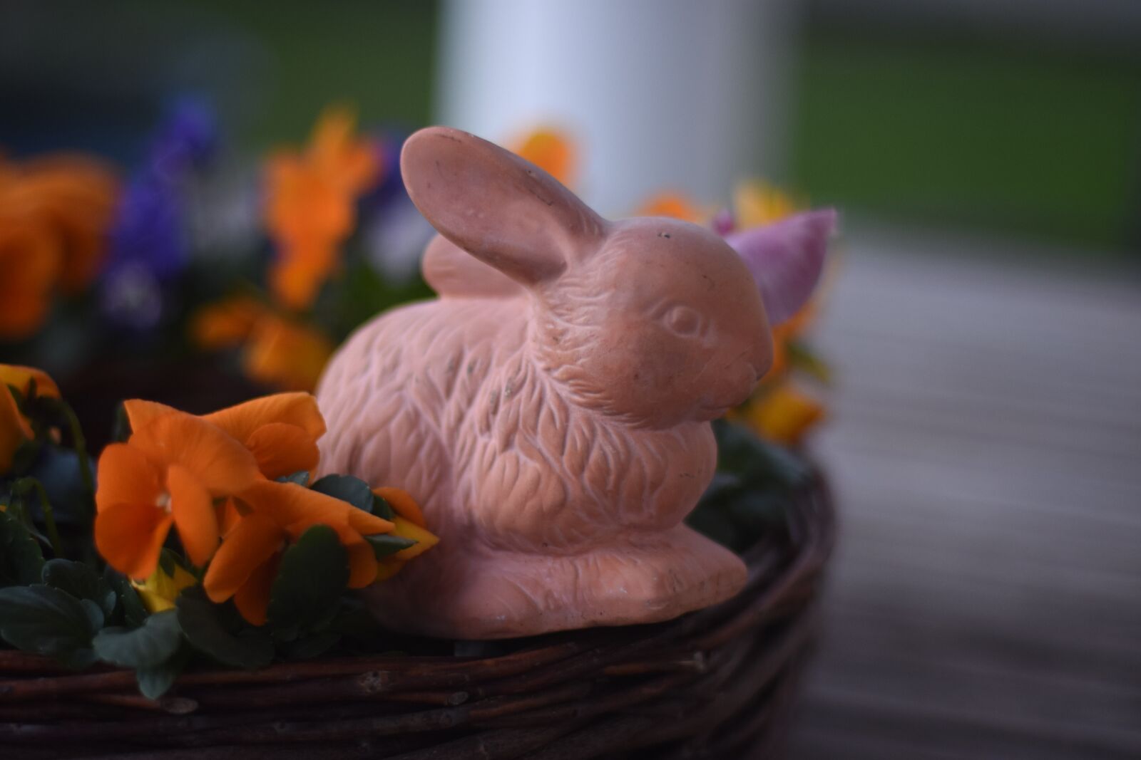 Nikon D7200 sample photo. Easter, flowers, easter image photography