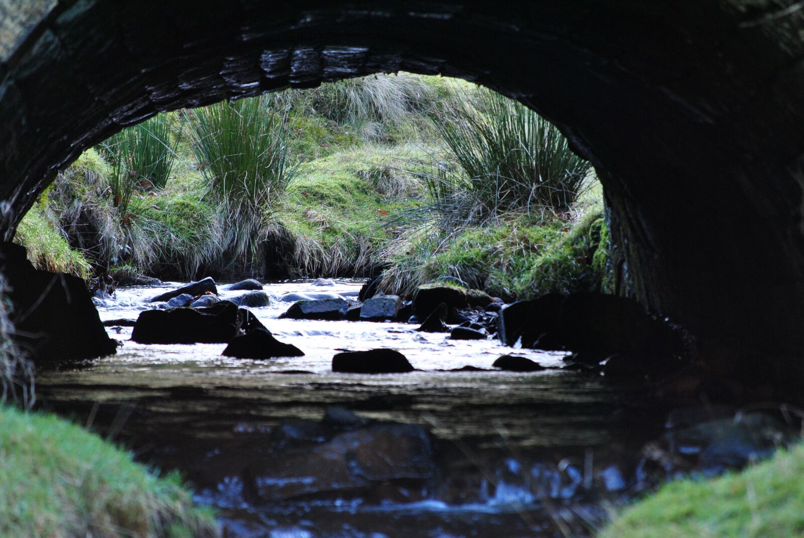 Nikon D3000 sample photo. Water, river, tunnel photography