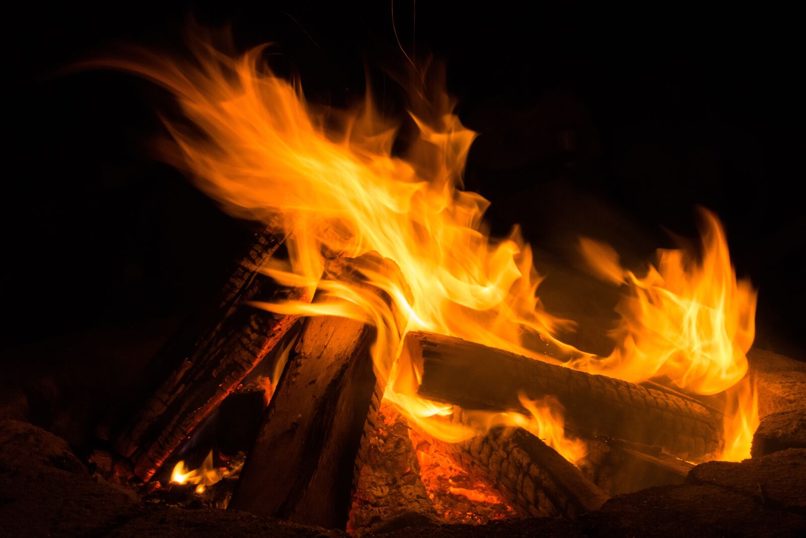 Nikon D800 sample photo. Fire, campfire, bonfire photography