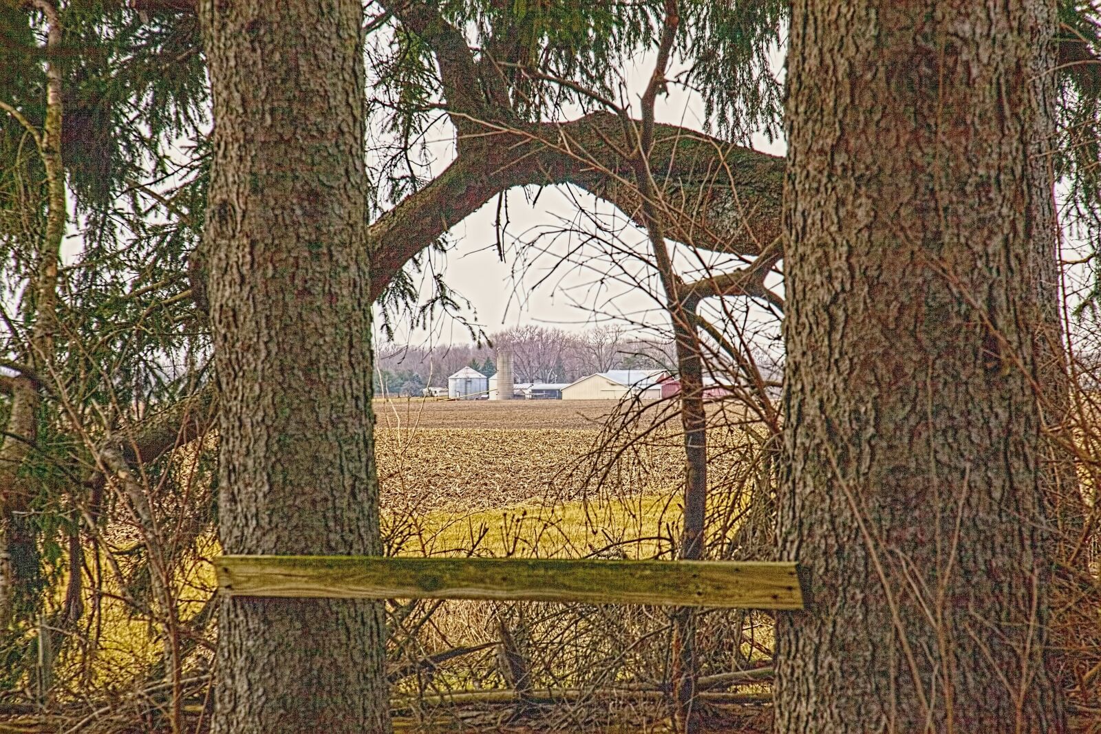 Canon EOS 5D Mark II sample photo. Scenery, trees, artistic photography