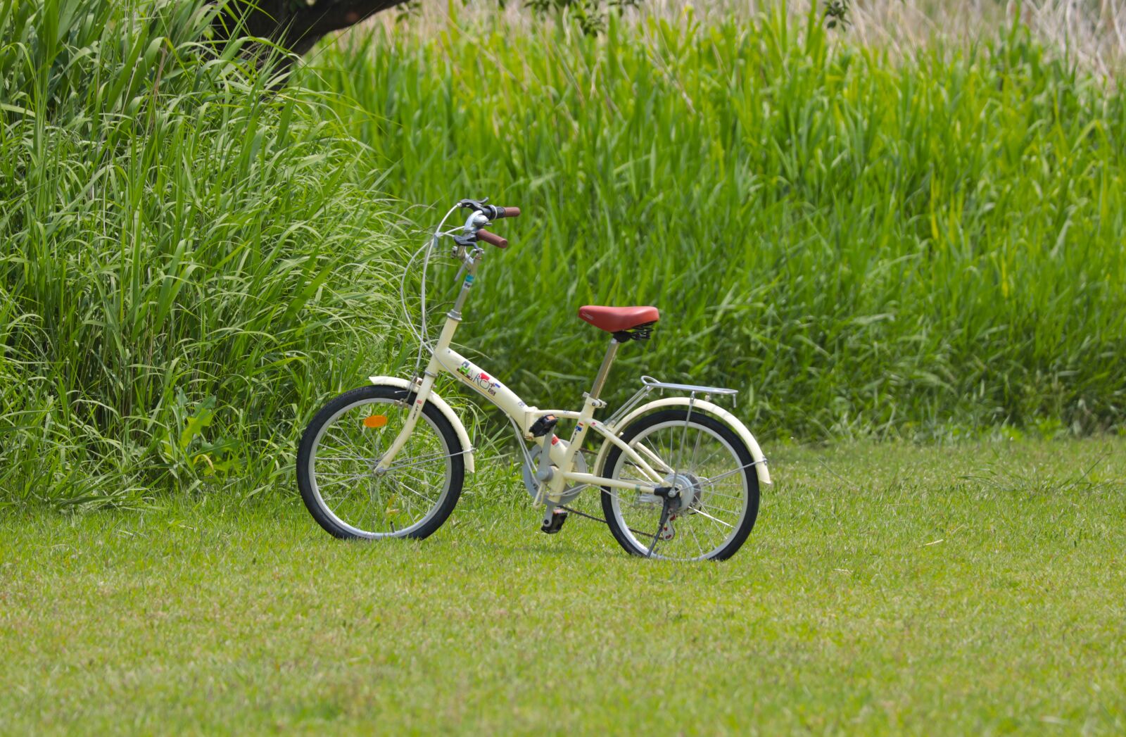 Canon EF 70-300 F4-5.6 IS II USM sample photo. Bike, grass, children photography
