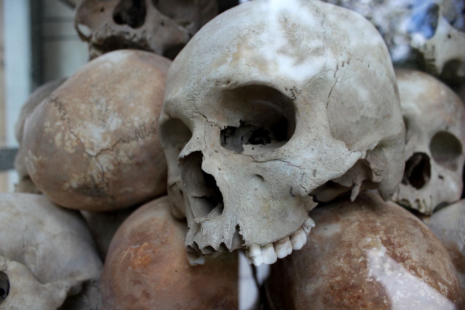 Canon EOS 550D (EOS Rebel T2i / EOS Kiss X4) sample photo. Skulls, genocide, murder photography