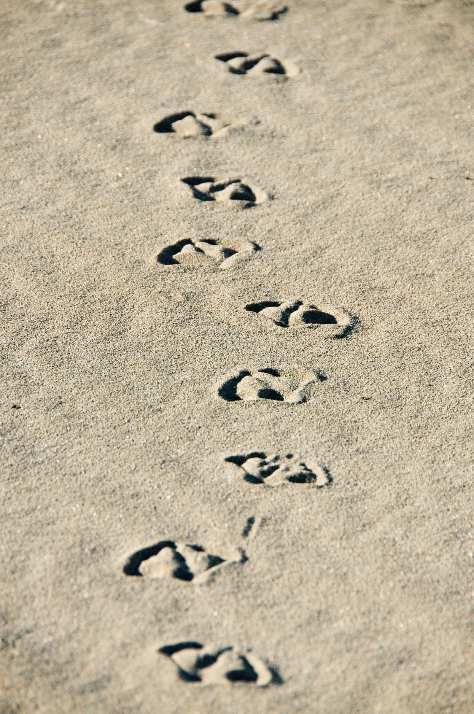 Nikon D90 sample photo. Sand, beach, footprints photography